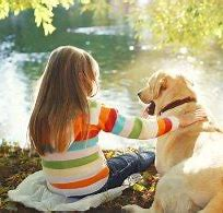 Keeping children safe around dogs