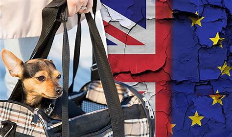 Pet Travel after Brexit